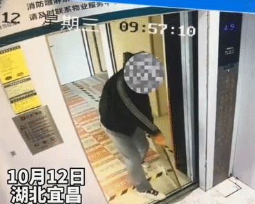 1666835836422294.gif 2.gif
