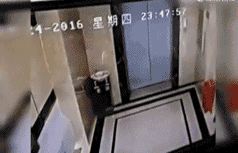 1666836263510376.gif 5.gif