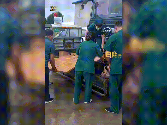 1681868454816922.gif 333.gif